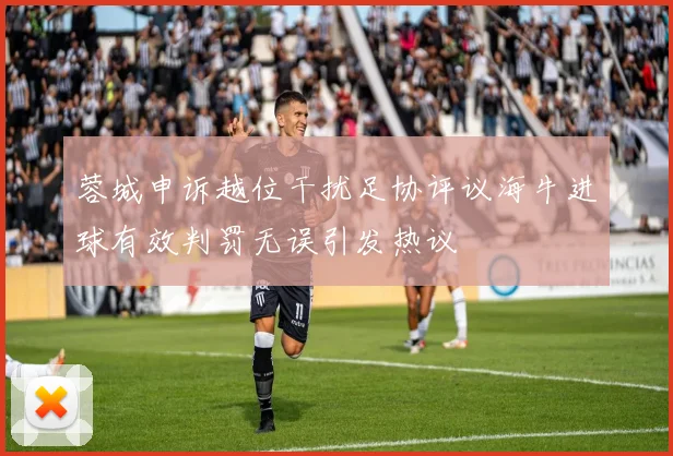 蓉城申诉越位干扰足协评议海牛进球有效判罚无误引发热议